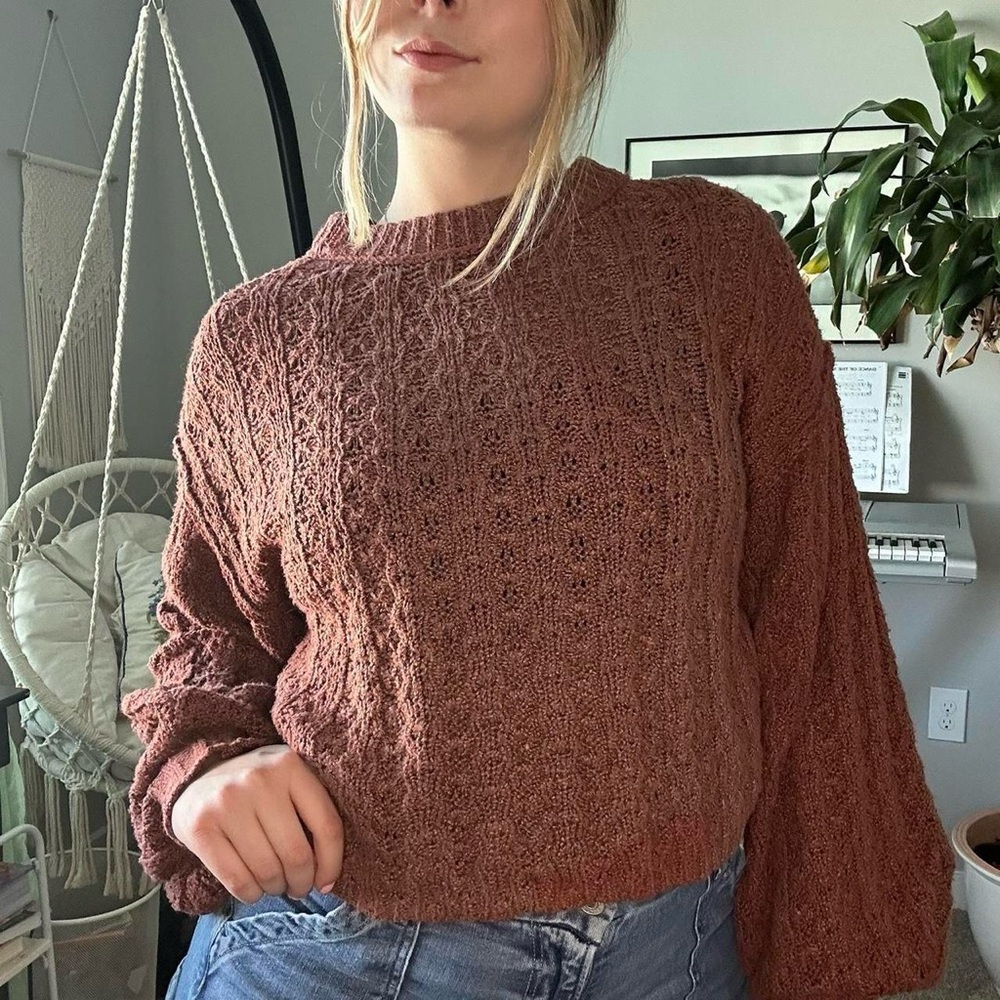 Blu Pepper Brown Crew Neck Sweater